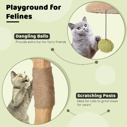 Cat Activity Center with Padded Perch and Interactive Bell Balls for Indoor Use