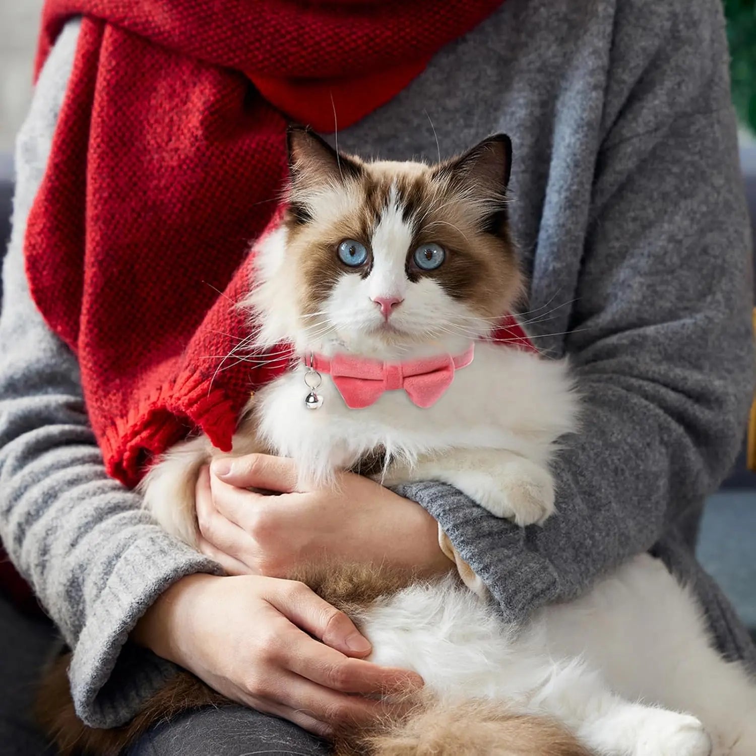 Adjustable Pet Collar with Bell and Bowknot Design, Featuring Safety Buckle - Ideal Accessories for Small Dogs and Cats