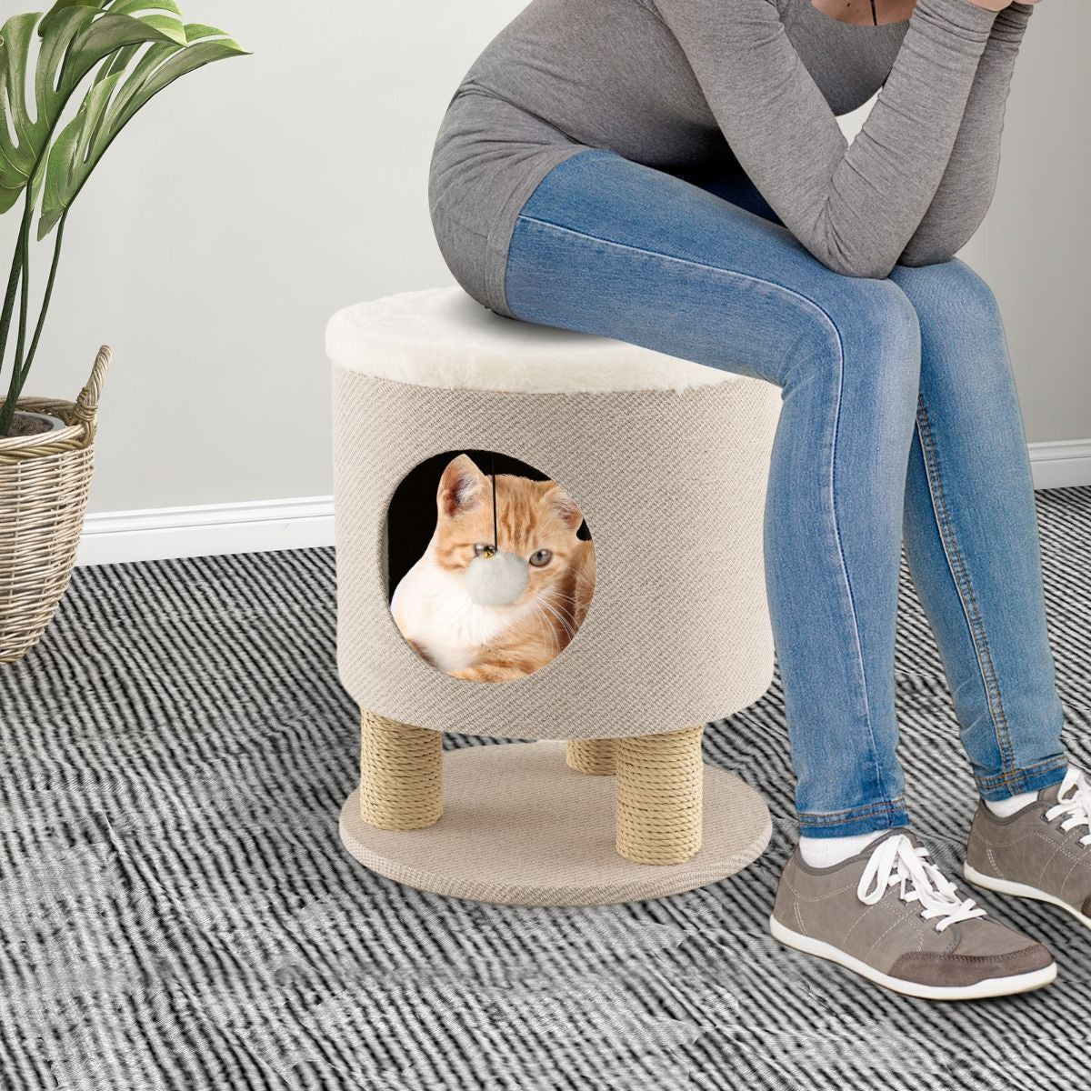 Indoor Cat Condo Stool with Scratching Posts and Plush Toy Ball