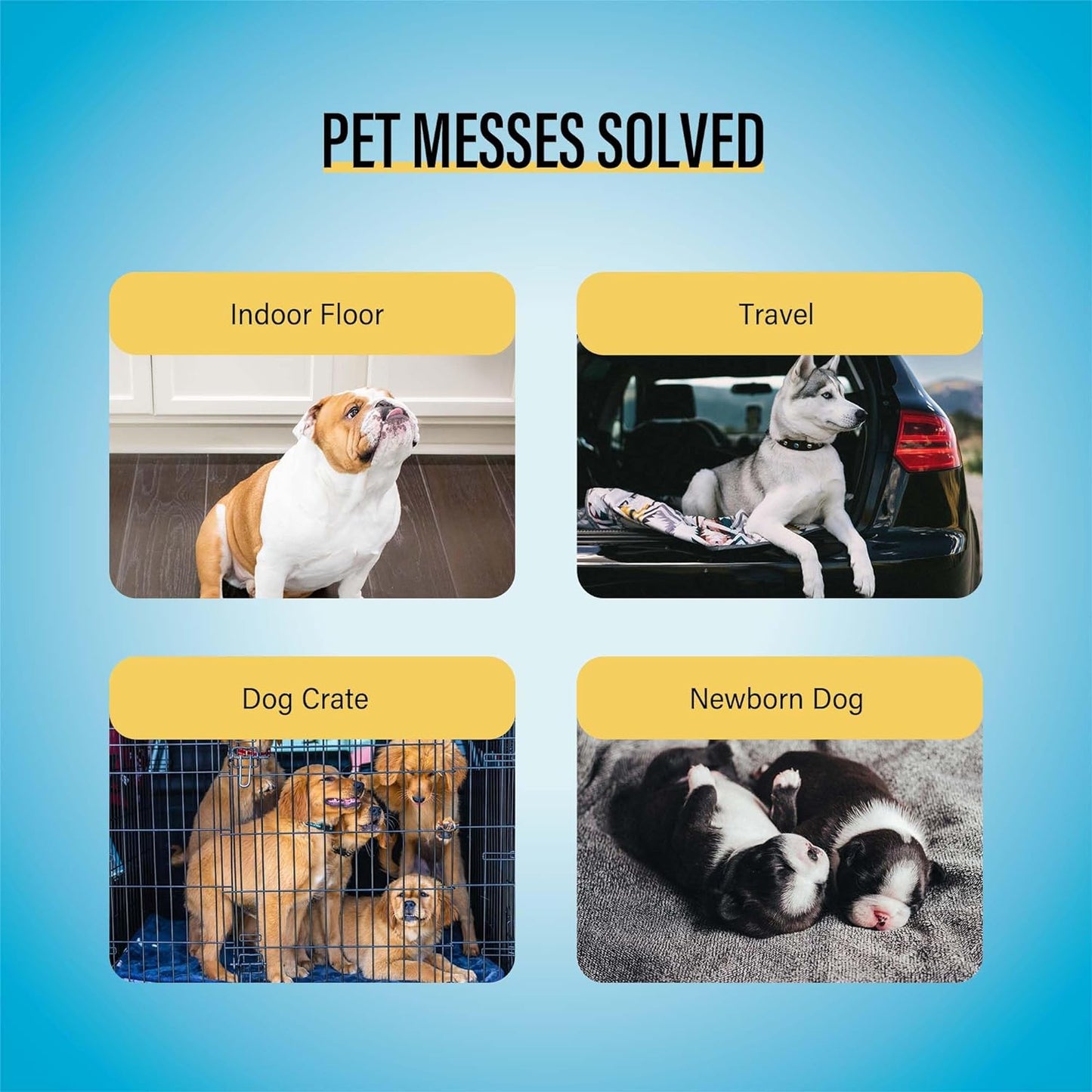 All-Absorb Super Absorbent Dog Training Pads, 100 Pack, 5-Layer Design, 56cm x 56cm