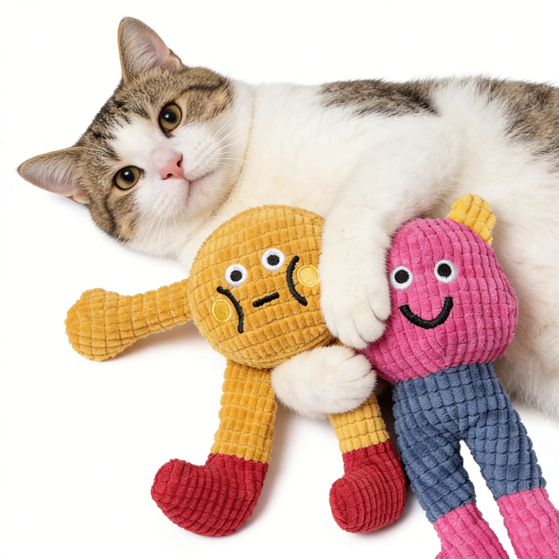 Interactive Plush Catnip Crinkle Toys - Set of 2, Soft and Durable Design for Indoor Kittens, Stimulating Chewing and Kicking Fun