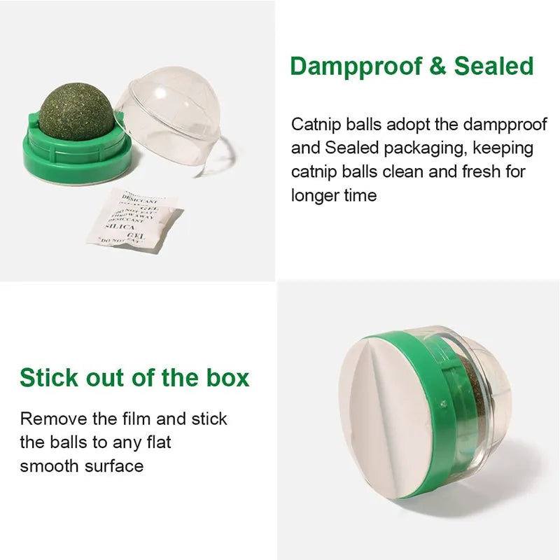 Catnip Balls - Lickable Snack and Dental Toy for Small to Medium Cats