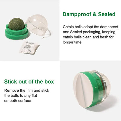 Catnip Balls - Lickable Snack and Dental Toy for Small to Medium Cats