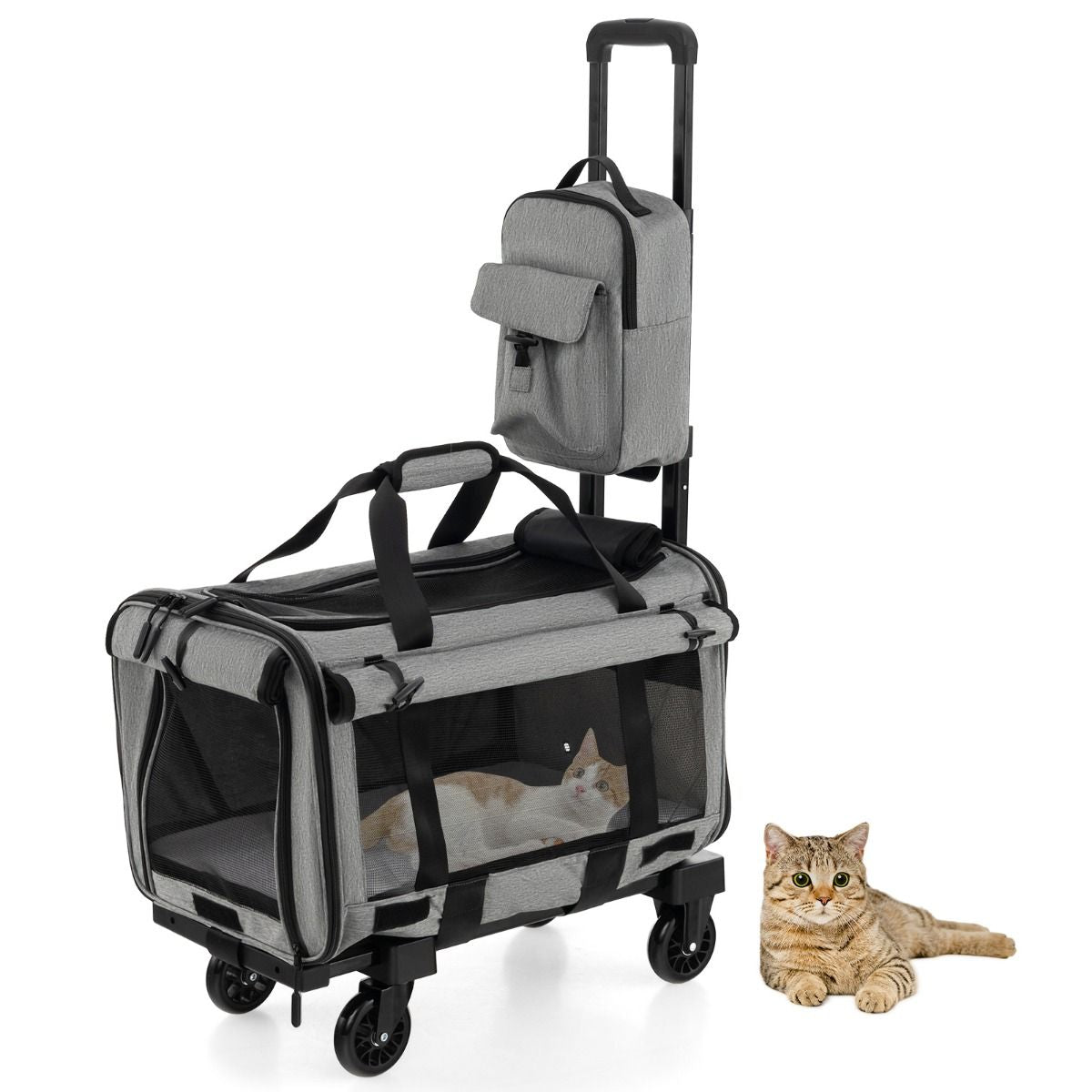 Premium Rolling Carrier for Small and Medium Pets