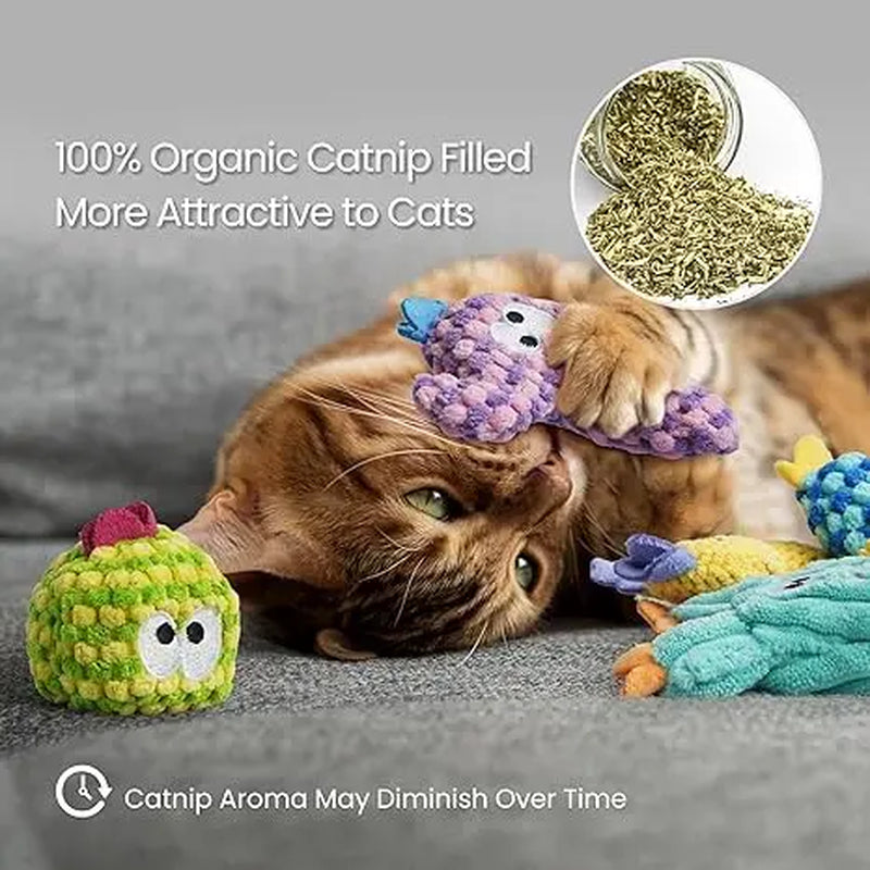 Pawsible 5-Pack Colorful Cactus Cat Toy Set with 100% Premium Cat Herb Filling - Natural Stimulation and Soft Teething Toys for Kittens