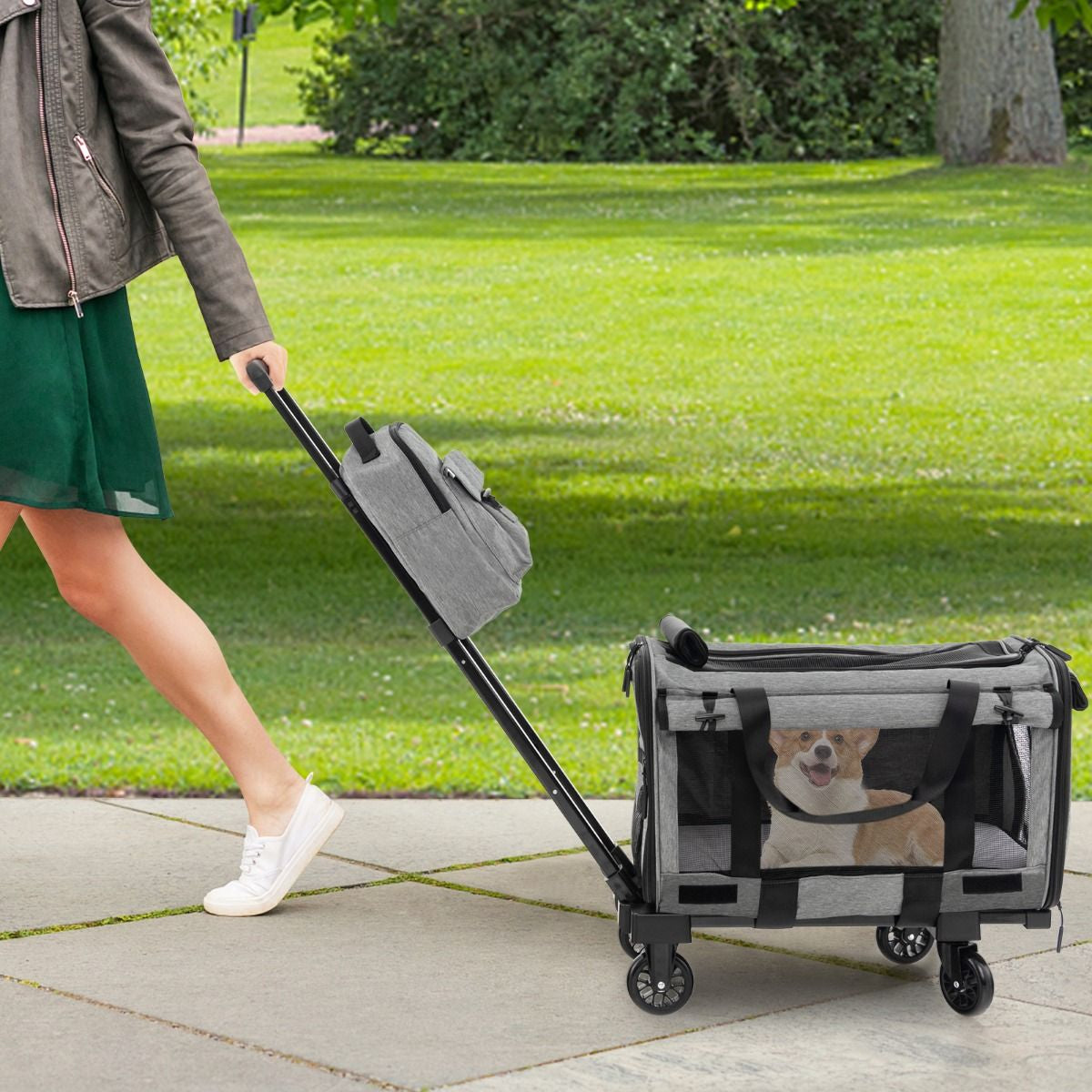 Premium Rolling Carrier for Small and Medium Pets