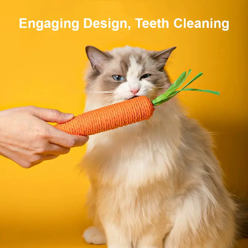 Lovely Caves Cotton Carrot Cat Chew Toys, Set of 2