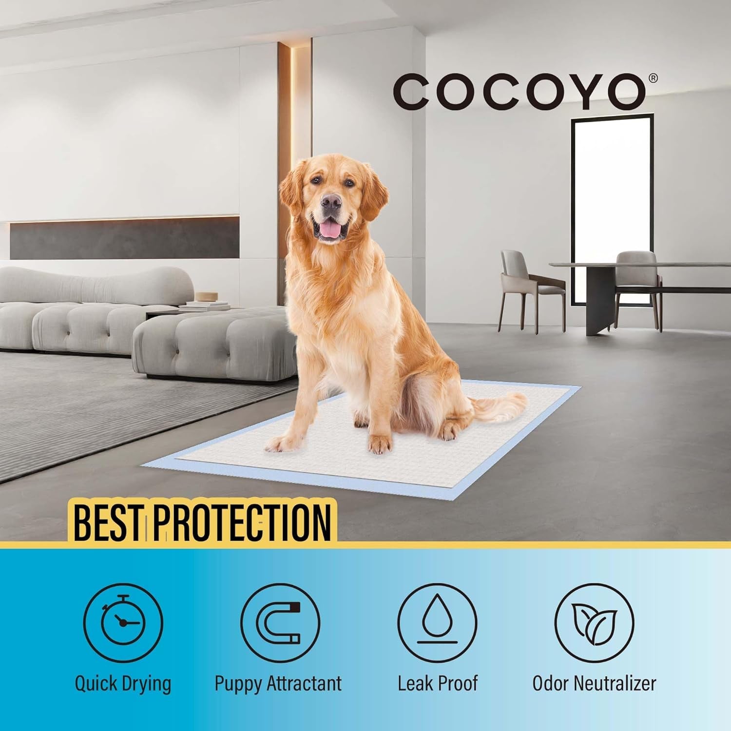 All-Absorb Super Absorbent Dog Training Pads, 100 Pack, 5-Layer Design, 56cm x 56cm