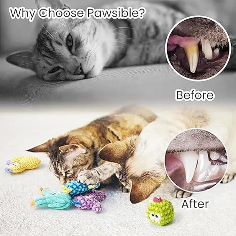 Pawsible 5-Pack Colorful Cactus Cat Toy Set with 100% Premium Cat Herb Filling - Natural Stimulation and Soft Teething Toys for Kittens