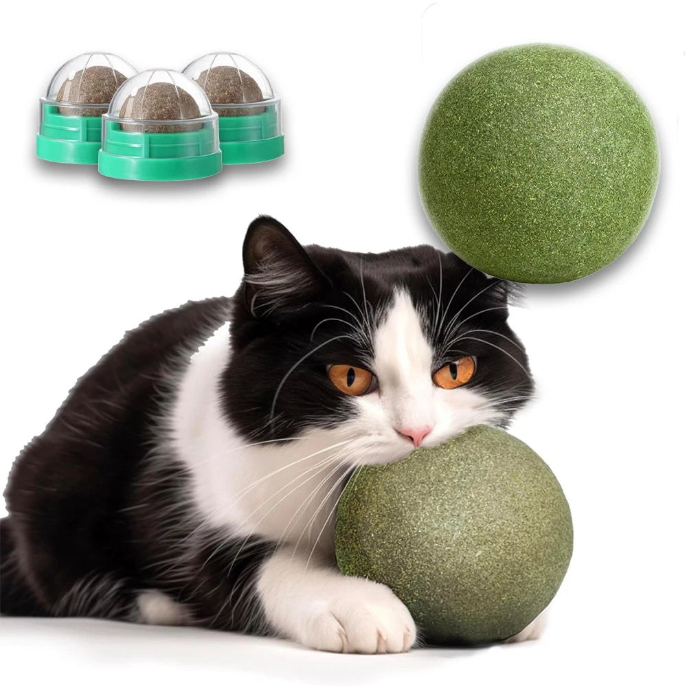 Catnip Balls - Lickable Snack and Dental Toy for Small to Medium Cats