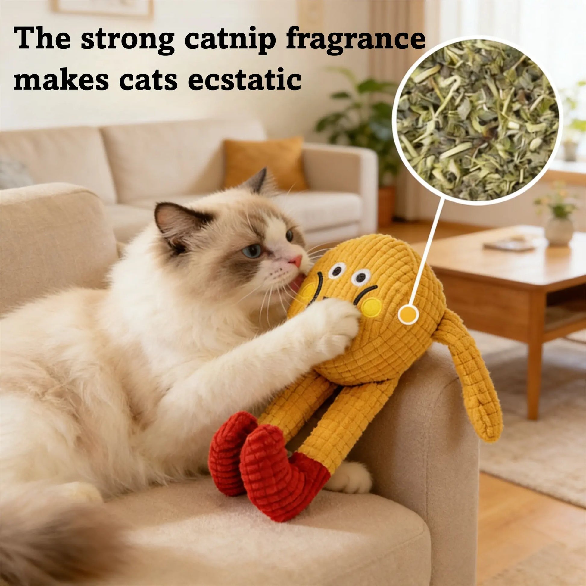 Interactive Plush Catnip Crinkle Toys - Set of 2, Soft and Durable Design for Indoor Kittens, Stimulating Chewing and Kicking Fun