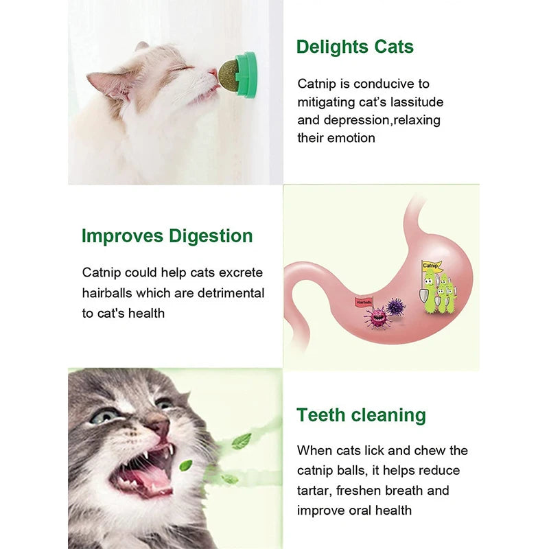 Catnip Balls - Lickable Snack and Dental Toy for Small to Medium Cats