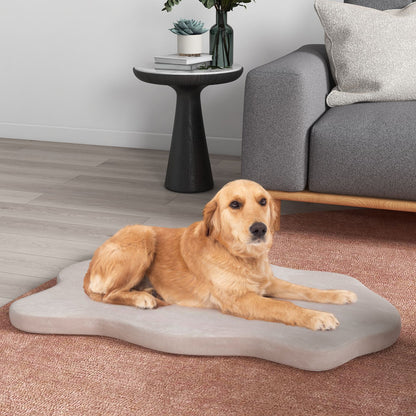 Premium Memory Foam Large Dog Bed with Removable Cover