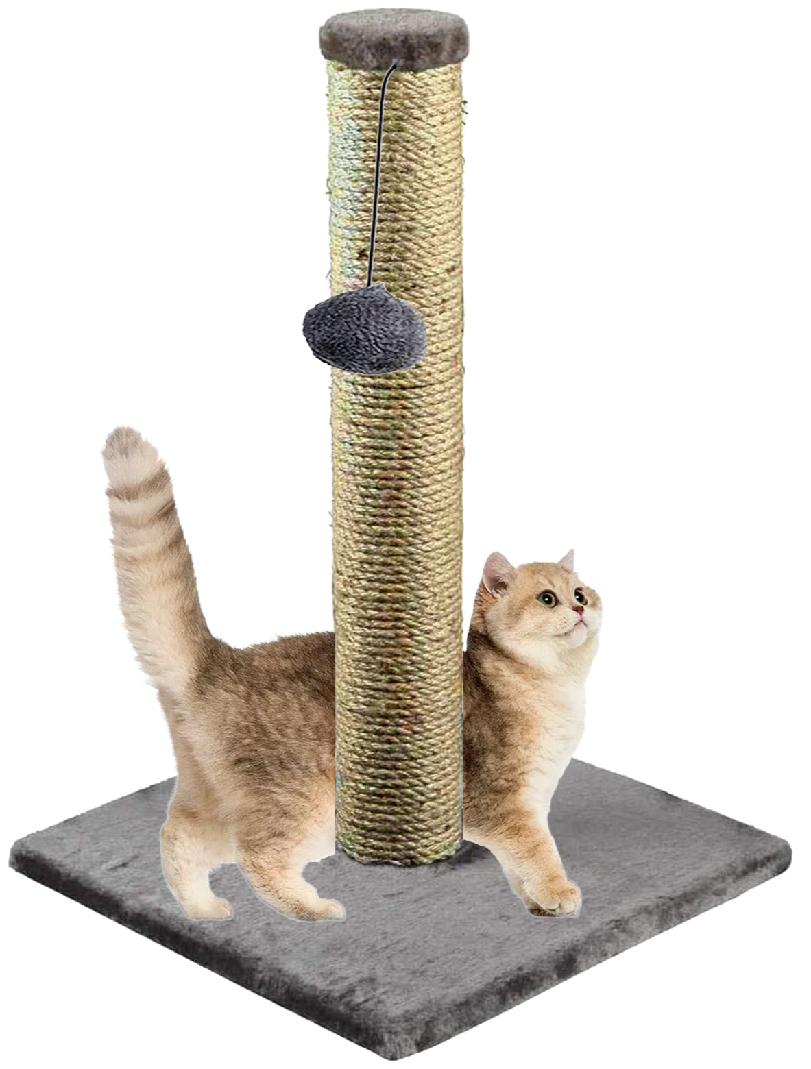 Cat Scratching Post - 40cm Sisal Pole for Kittens and Cats - New Design