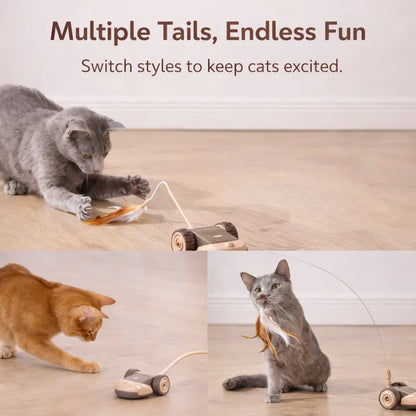 3-in-1 Interactive Robot Mouse Cat Toy with Multiple Feather Attachments - USB Rechargeable and Hands-Free Play for Indoor Cats