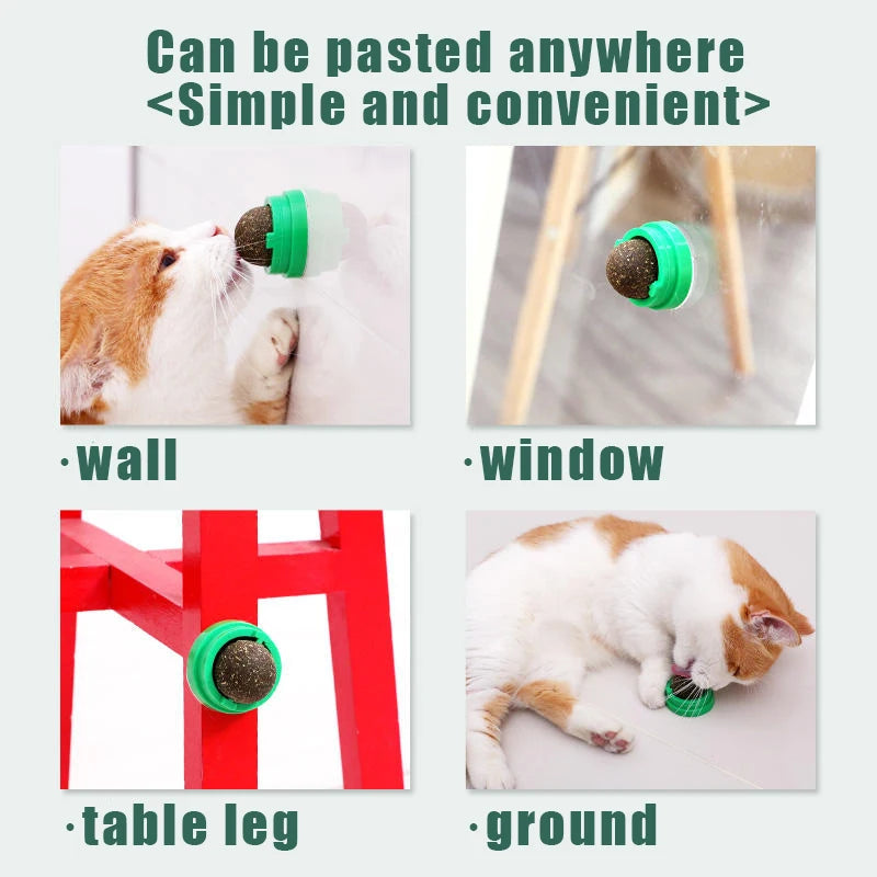 Catnip Balls - Lickable Snack and Dental Toy for Small to Medium Cats