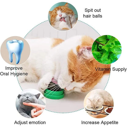 Catnip Balls - Lickable Snack and Dental Toy for Small to Medium Cats